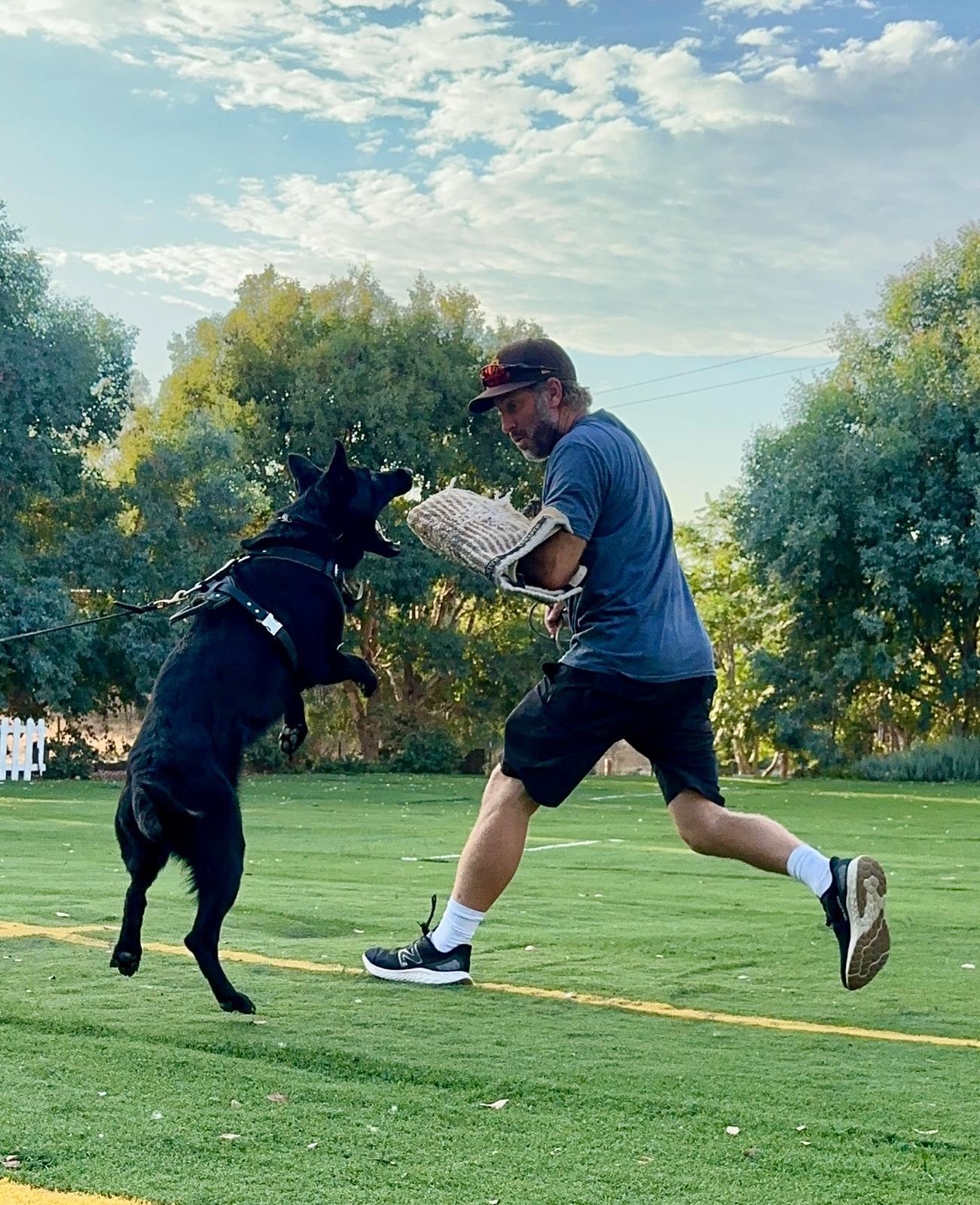 Taylor Made Working Dogs kris about