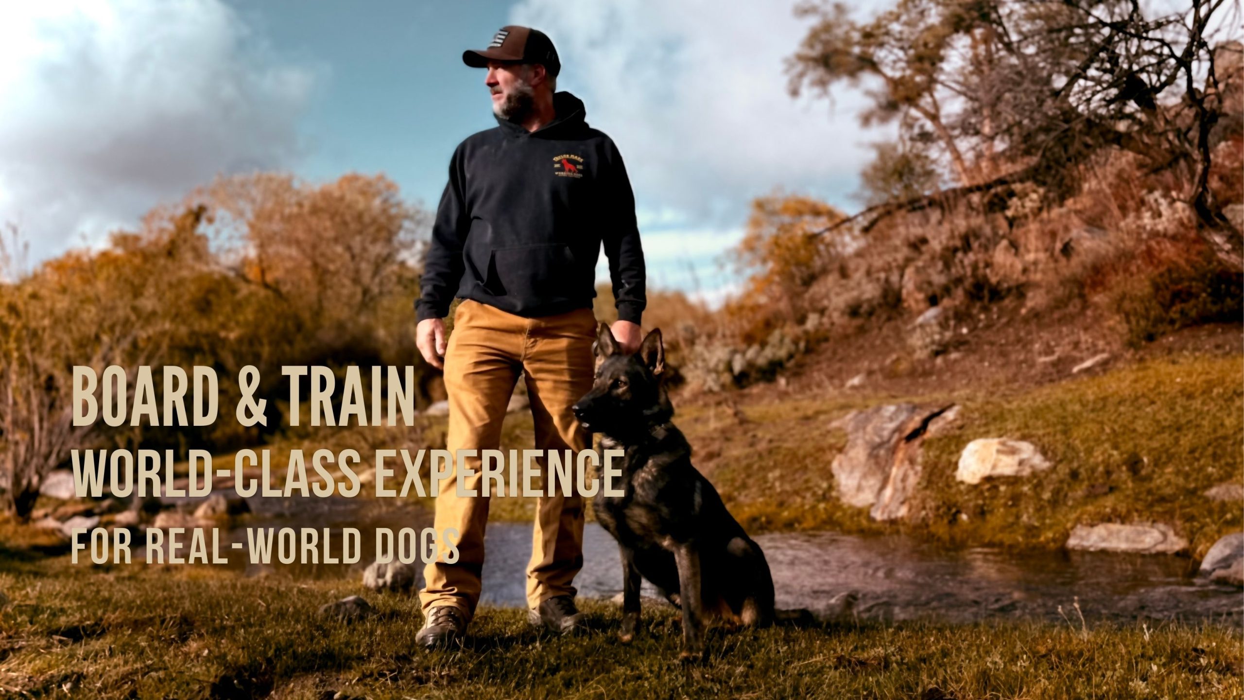 Board and train dog training in San Diego