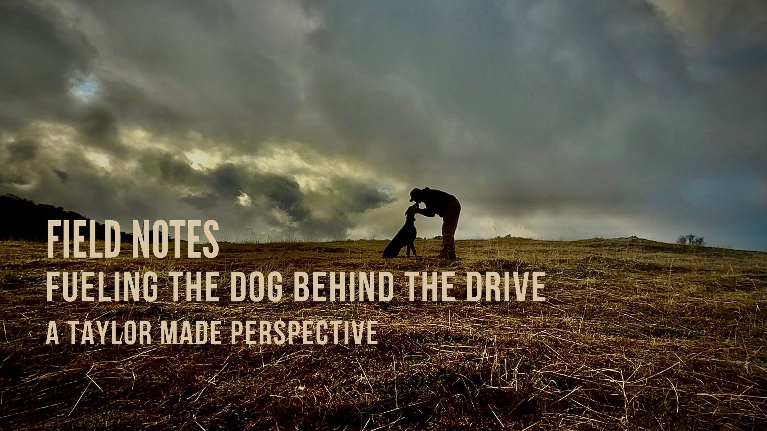 Taylor Made Working Dogs field notes header01 scaled