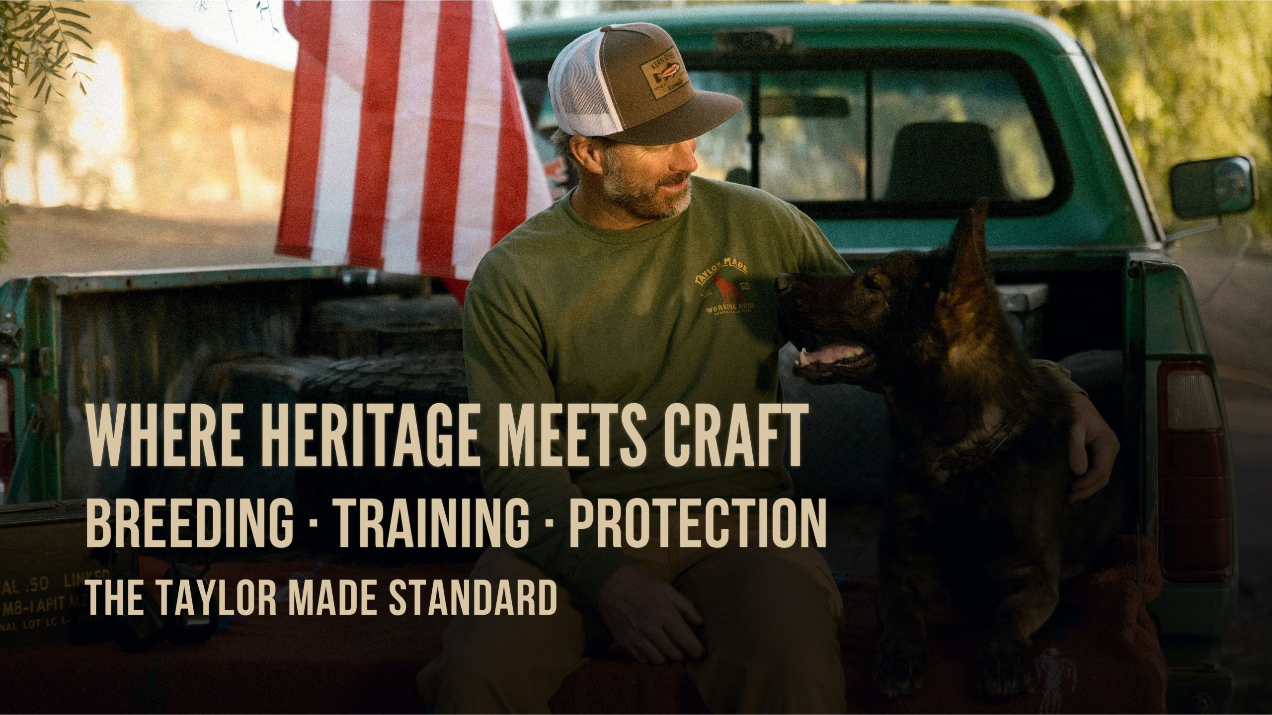 Taylor Made Working Dogs