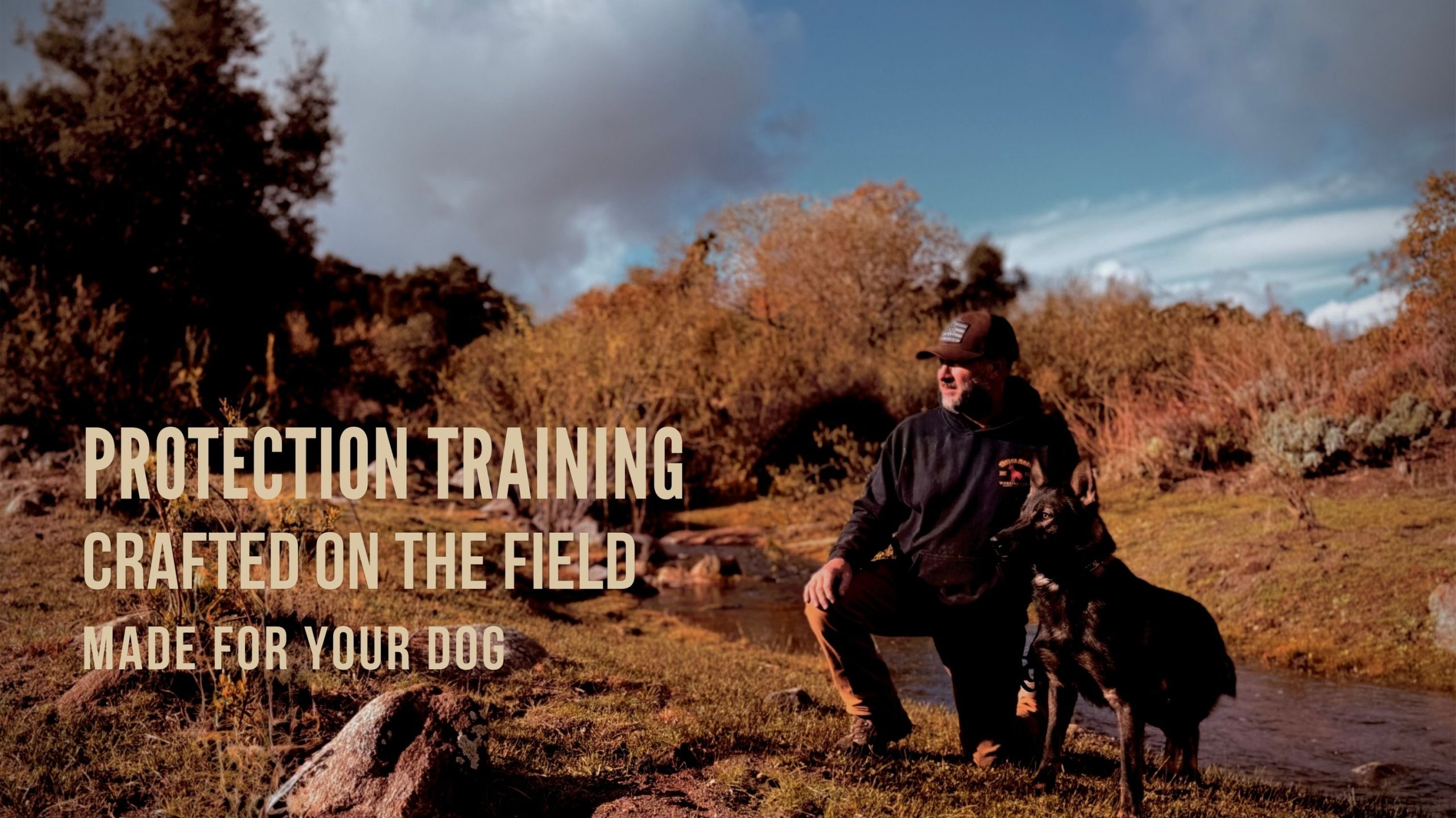 Taylor Made Working Dogs protection training banner scaled