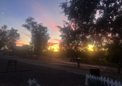 Taylor Made Working Dogs boarding02