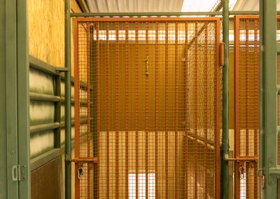 Taylor Made Working Dogs Taylor Made Feb 27