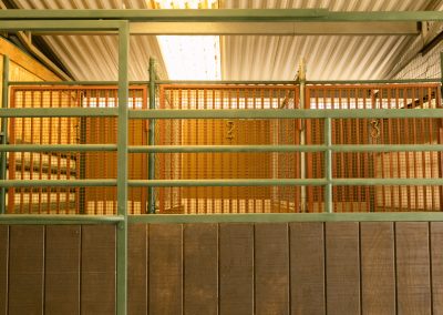 Taylor Made Working Dogs Taylor Made Feb 28