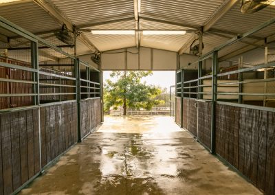 Taylor Made Working Dogs Taylor Made Feb 38