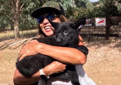 Taylor Made Working Dogs IMG 0294