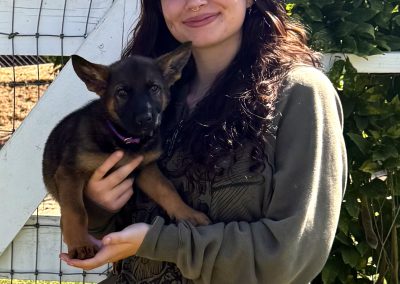 Taylor Made Working Dogs IMG 0764