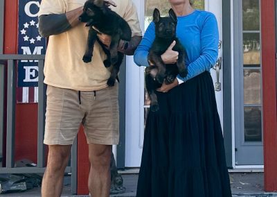 Taylor Made Working Dogs IMG 4731