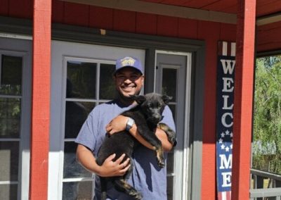 Taylor Made Working Dogs imagejpeg 0