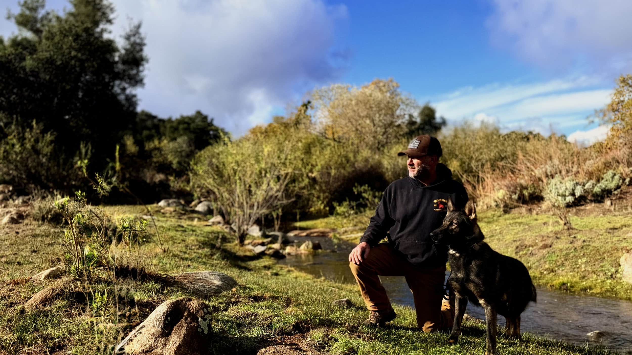 Taylor Made Working Dogs protection header