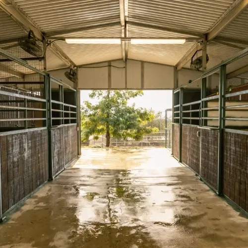 Taylor Made Working Dogs taylor made facilities