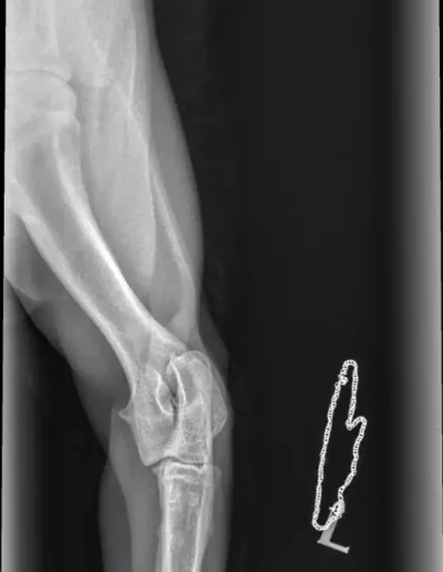 Rubble X-rays