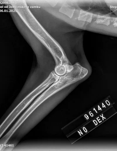 Rubble X-rays