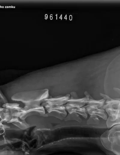 Rubble X-rays