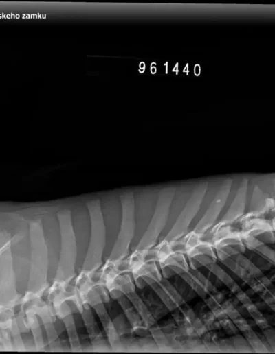 Rubble X-rays