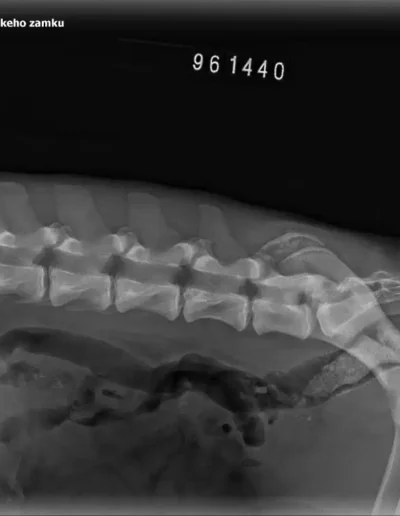 Rubble X-rays