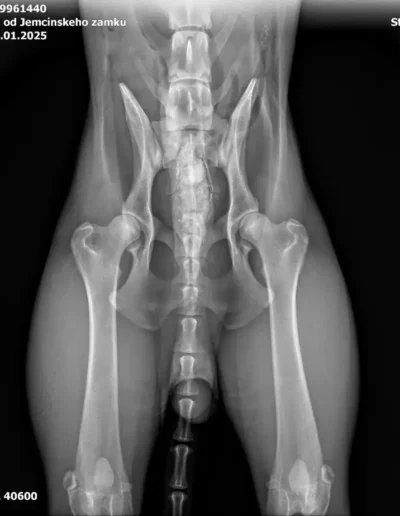 Rubble X-rays